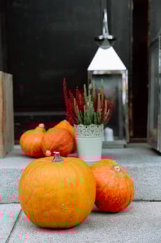 Autumn pumpkins and lantern on rustic front steps in Czech Republic. Cottage core photo