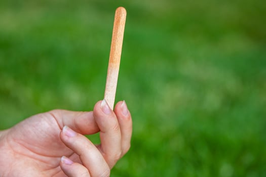 Teenage girl holding an empty wooden stick of popsicle ice after she finished eating it. Blurred green backdrop. Selective focus photo
