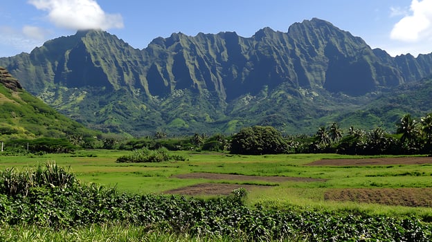 Lush Green Mountains Overlooking Cultivated Fields and Palm Trees. photo