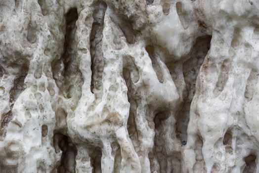 Closeup of a white textured limestone formation with natural grooves and cavities, resembling a stalactite or stalagmite surface in a cave. photo