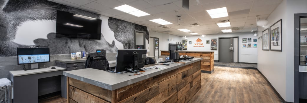 Modern Veterinary Office Featuring Open Layout With Animal Silhouette Wallpaper and Tech Stations for Patient Care photo