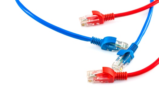 Three red and blue ethernet cables photo