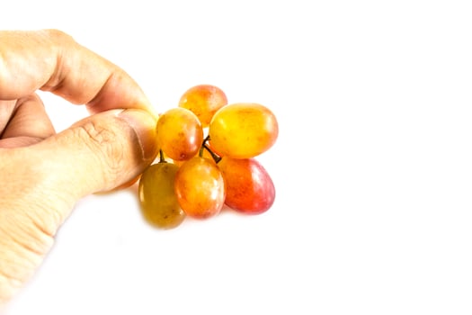 A hand holding a bunch of grapes on a white background photo