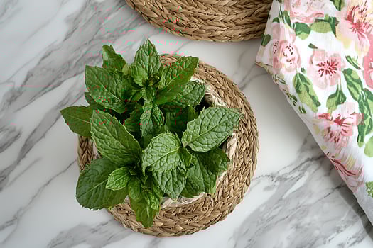 Fresh Mint Leaves in a Woven Basket on Marble Surface. A high-resolution image perfect for culinary, health, or lifestyle projects. photo