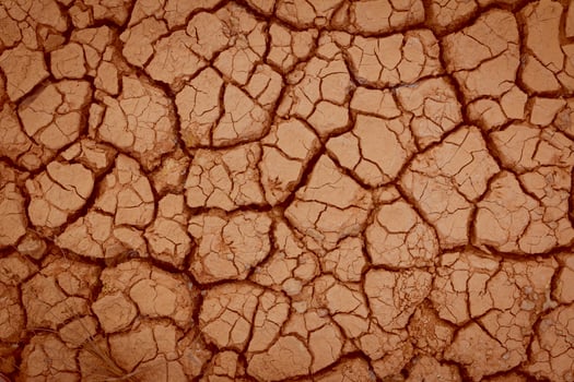 A close up of a cracked dry brown surface photo