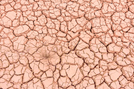 A close up of a cracked dry desert photo