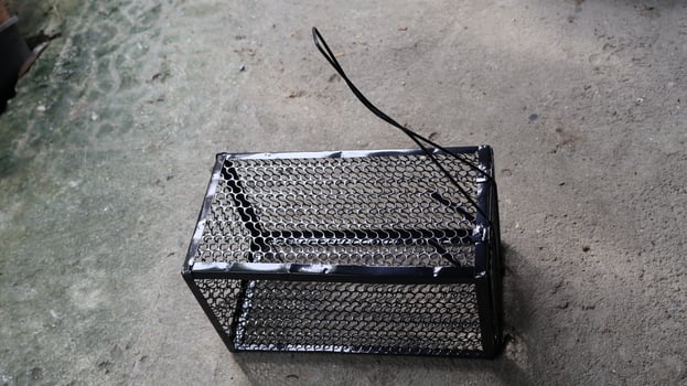 A humane trap for mice or small unwanted animals in the home photo