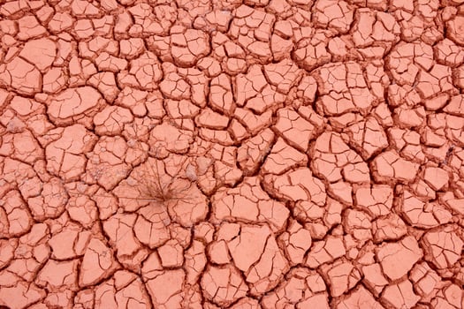 A close up of a cracked red soil photo