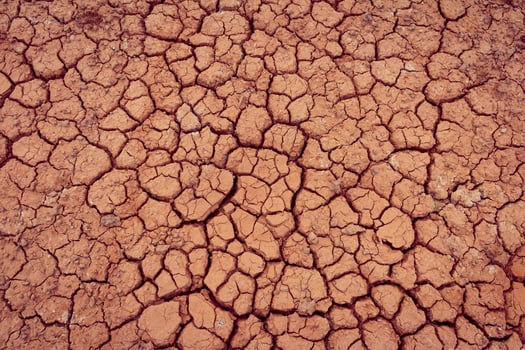A close up of a dry, cracked surface photo