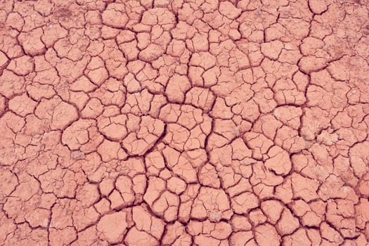 A close up of a cracked, dry, red soil photo