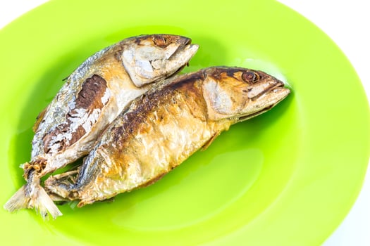 Two fish are sitting on a green plate photo