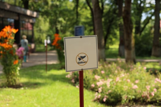 Signage Providing Important Rules and Regulations in a Beautiful Lush Park Setting photo