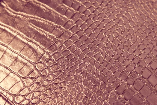 A close up of a leather surface with a snake skin texture photo