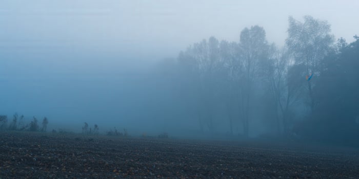 Misty trees in a field create a calm and serene, foggy landscape during a beautiful morning. photo