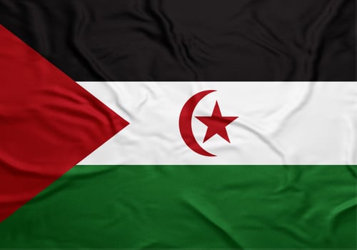 Waving Sahrawi Arab Democratic Republic flag on transparent background photo