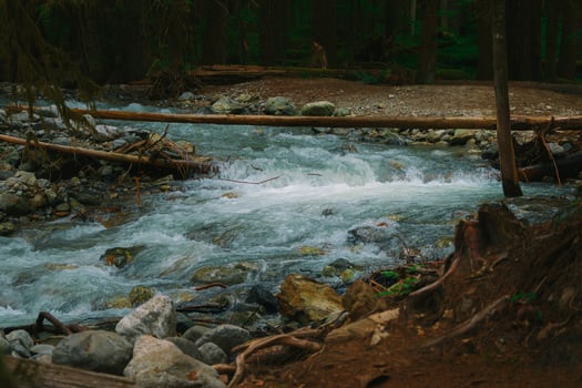 Explore the beauty of nature river flowing through forest landscape view photo