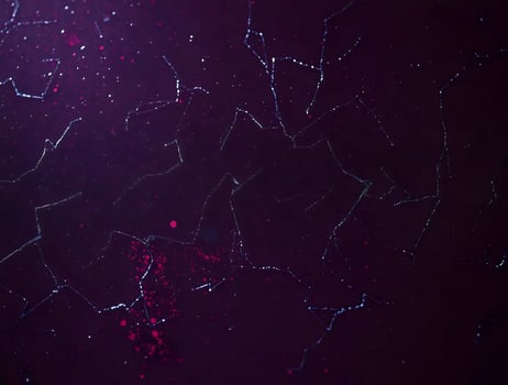 Deep Purple Abstract Texture Cosmic Crackle Background for Design Projects photo