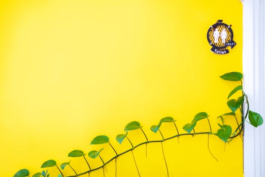 Bright yellow wall with green vine plant and a unisex toilet sign. Minimalist and vibrant decor concept ideal for interior design, eco friendly spaces, or commercial signage visuals photo