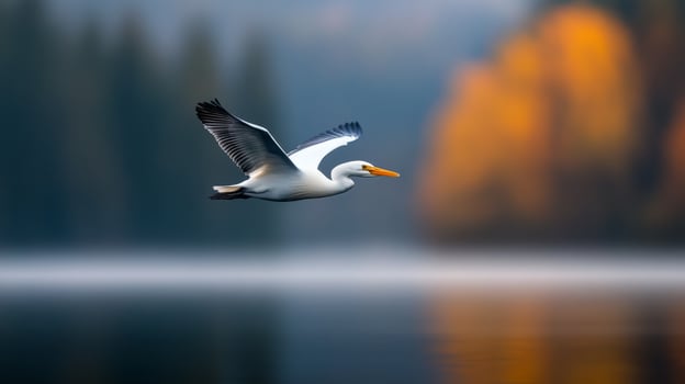 Beautiful egret in flight over serene lake surrounded by autumn foliage at sunrise photo