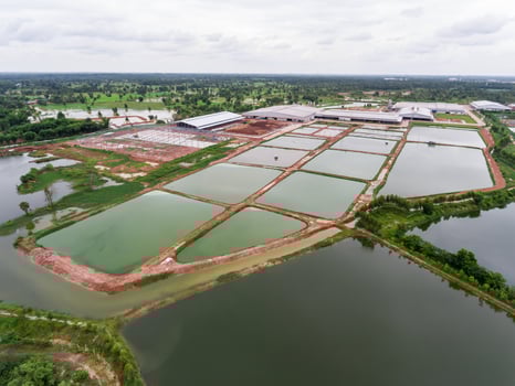 The aerial view of many ponds and paths near the manufactory shot by drone.aa photo