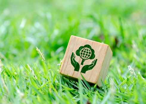 Wooden cube with symbol of mother nature and earth on green grass photo