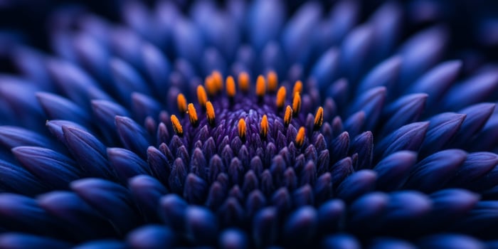 Intricate close-up of vibrant purple flower showcasing delicate petals and contrasting orange stamens photo