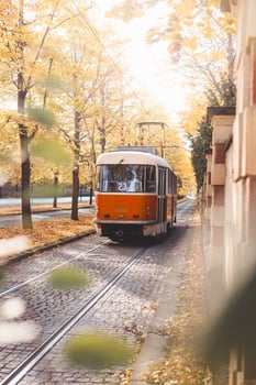 Historical p trams glide down a tree lined avenue ablaze with autumn hues in Prague, blending historic charm with nostalgic flair in the city iconic public photo