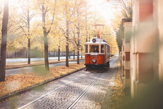 Historical trams glide down a tree lined avenue ablaze with autumn hues in Prague, blending historic charm with nostalgic flair in the city iconic public transport network. photo