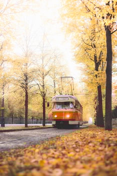 Old trams glide down a tree lined avenue ablaze with autumn hues in Prague, blending historic charm with nostalgic flair in the city iconic public transport network. photo