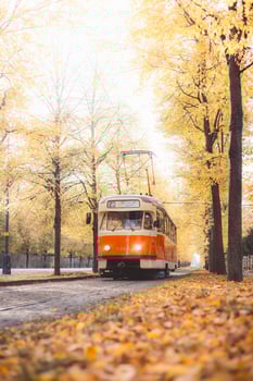 Vintage trams glide down a leaf tree lined avenue ablaze with autumn hues in Prague, blending historic charm with nostalgic flair in the city iconic public transport network. photo