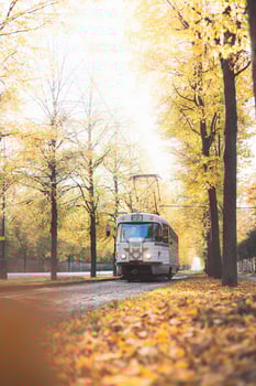 Vintage trams glide down a tree lined avenue ablaze with autumn hues in Prague, blending historic charm with nostalgic flair in the city photo