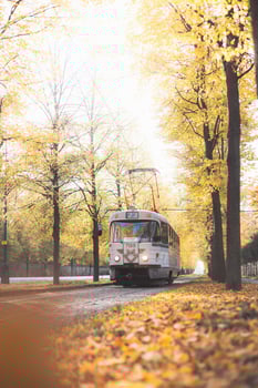 Vintage trams glide down a tree lined avenue ablaze with autumn hues in Prague, blending historic charm with nostalgic flair in the city iconic public transport photo