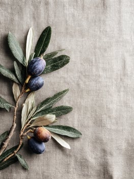 Olive Branches With Figs Resting on Textured Linen Background Showcasing Natural Beauty and Simplicity photo