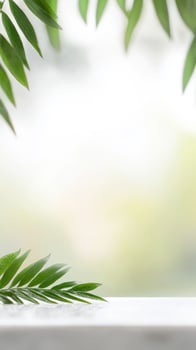 Vibrant green palm leaves frame a serene, bright background with ample copy space, perfect for natural product display, wellness themes, or a refreshing design. photo