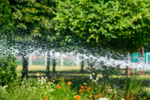 A stream of water from a hose. Watering plants in the summer heat photo