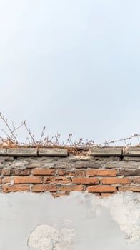 Textured Old Brick Wall with Peeling Plaster and Dry Foliage Against a Clear Sky, Evoking Urban Decay and Rustic Charm. Architectural Detail. photo