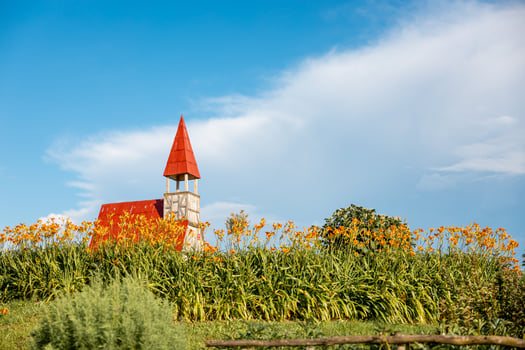 A red roofed structure with a bell tower stands above a field of orange flowers and green plants, with a wooden fence in the foreground and a blue sky above. photo
