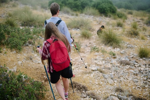 Hikers Trekking Through Rocky Terrain in a Natural Landscape photo