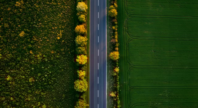High-resolution top view of asphalt road with lane markings, great for transportation designs or digital mockups. photo