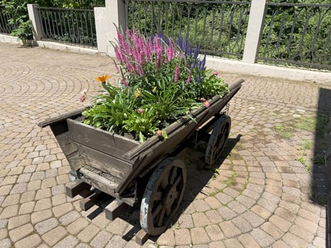 Blooming flowers are growing inside an old wooden mining cart repurposed as a large flowerpot, adding a touch of rustic charm to a paved courtyard with a cobblestone pattern photo
