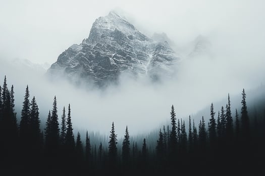 A mountain covered in fog with trees in the foreground photo