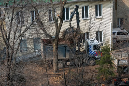 Bulldozer collects tree branches after pruning in the courtyard of an apartment building photo