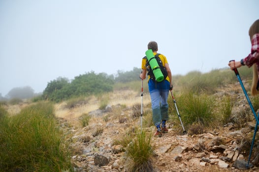 Hikers Trekking through a Misty Mountain Trail Surrounded by Scenic Nature photo
