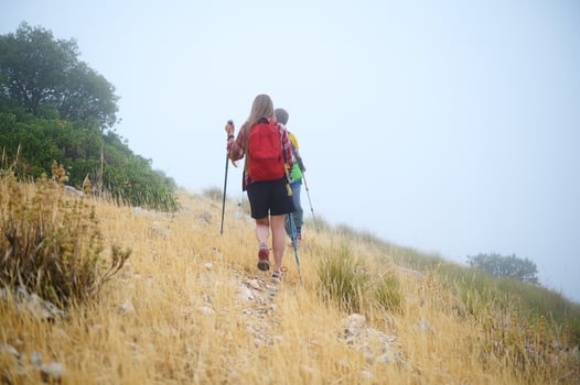 Two Hikers Trekking Through a Misty Hillside with Yellow Grass photo