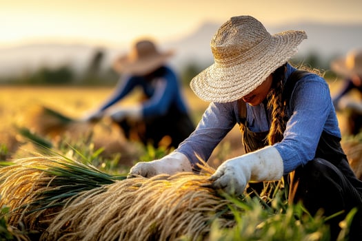 Women farmers harvesting crops under golden sunlight, celebrating sustainable living, rural empowerment photo