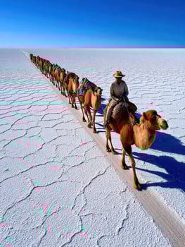 Man riding camel leading a long caravan across Salar de Uyuni photo