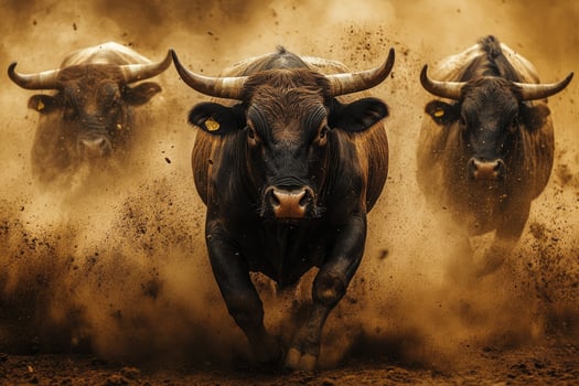 Powerful bulls running and raising dust in bullfighting arena photo