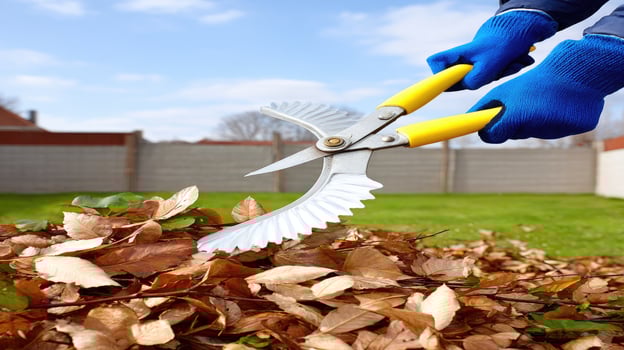 A person in blue gloves is cutting leaves with a pair of scissors photo