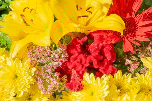 Red and Yellow Floral Mix Festive Artistic Design photo
