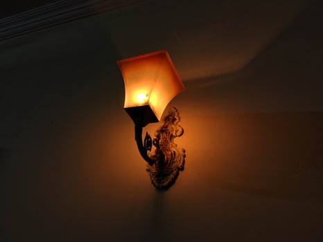 Ornate Wall Lamp with Frosted Glass Shade and Decorative Brass Base 1 photo